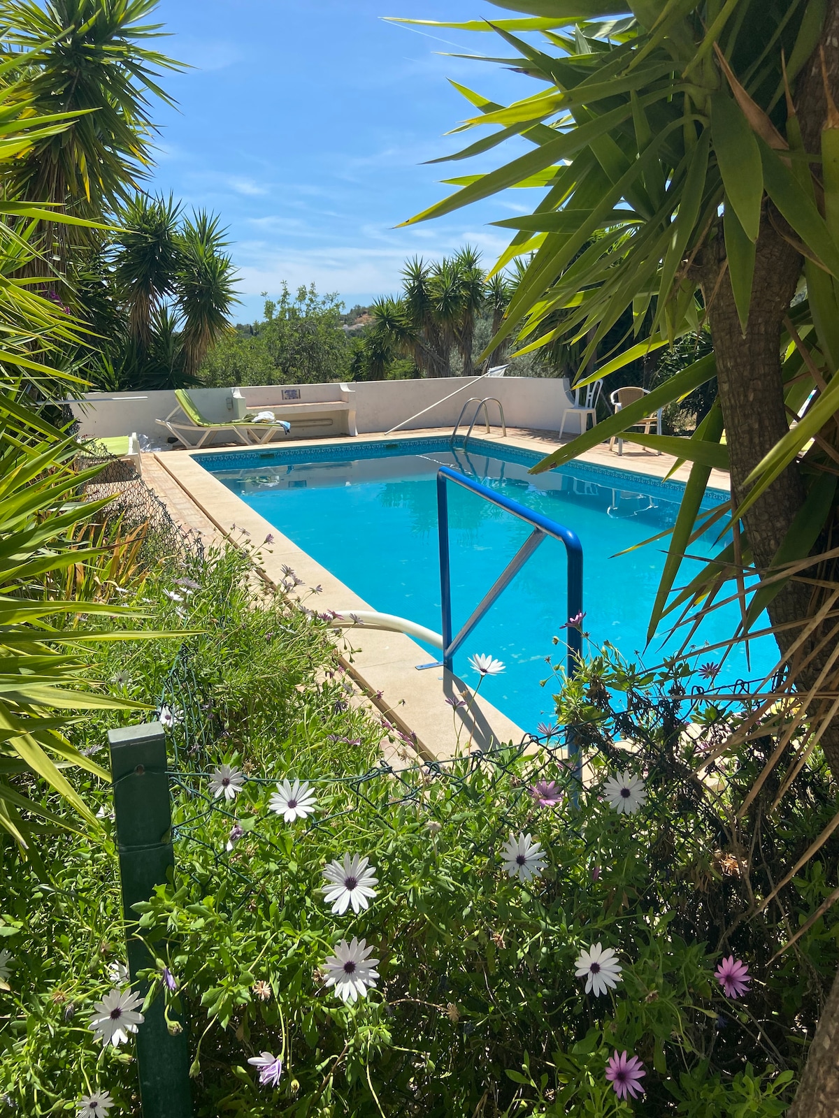 A private swimming pool is framed by lush greenery, featuring palm trees and flowering plants. The clear blue water reflects sunlight, creating a serene atmosphere. A set of stairs leads into the pool, inviting relaxation and enjoyment in a tranquil outdoor setting.