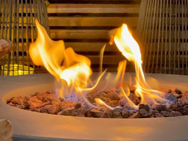 Magnolia House in Venice gallery image 5