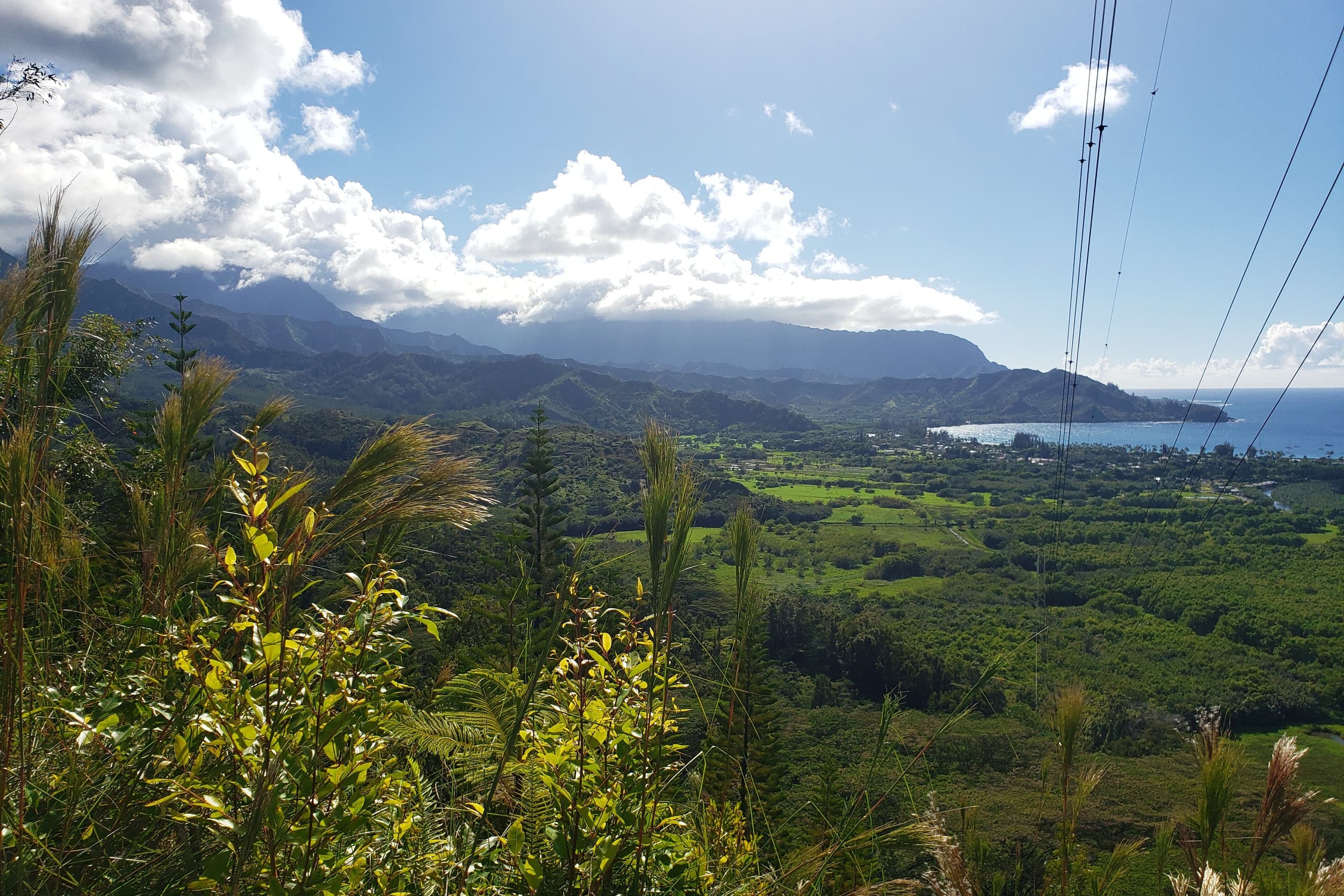 Home in Princeville · ★4.96 · 3 bedrooms · 3 beds · 2.5 baths - Image 35