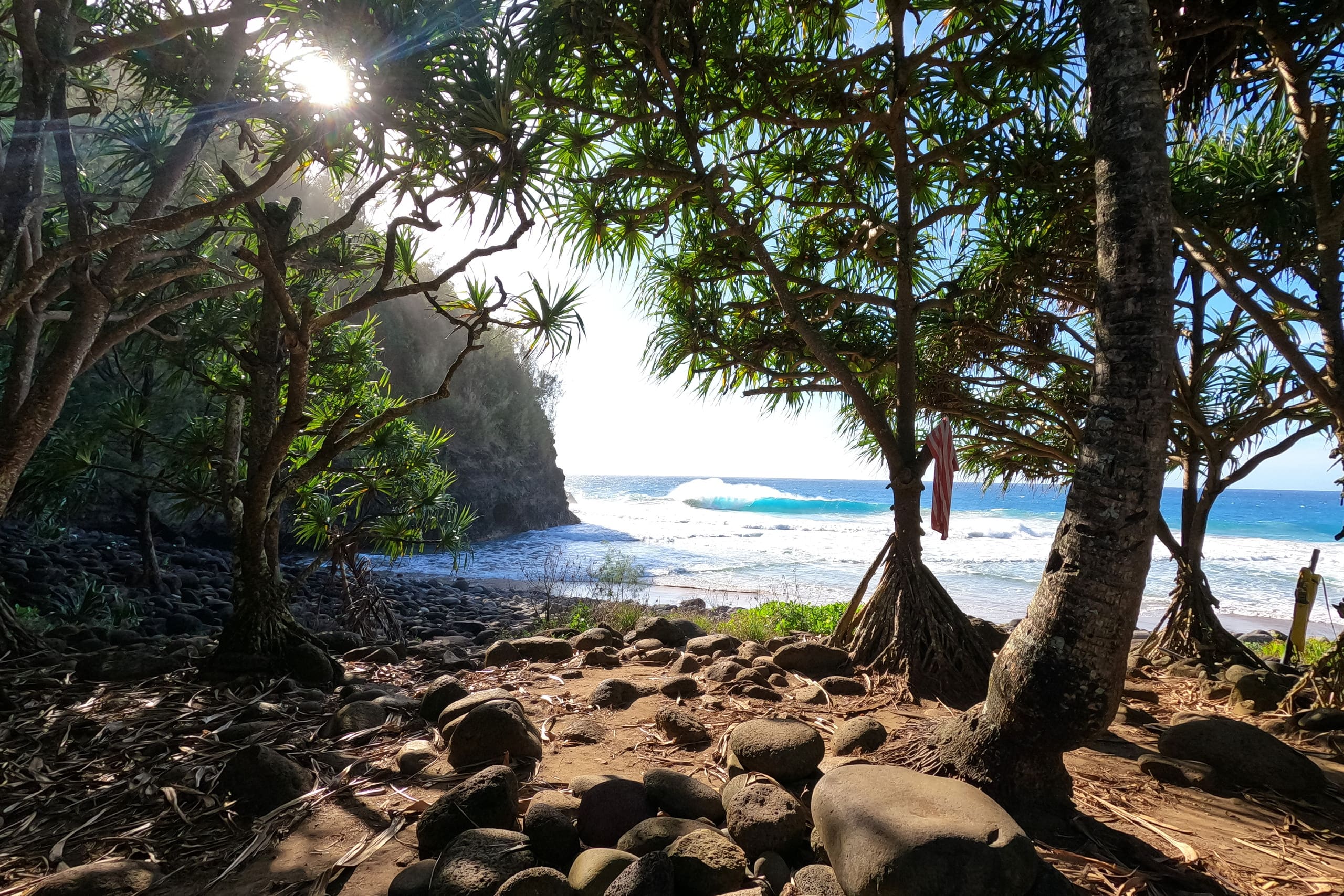 Home in Princeville · ★4.96 · 3 bedrooms · 3 beds · 2.5 baths - Image 37