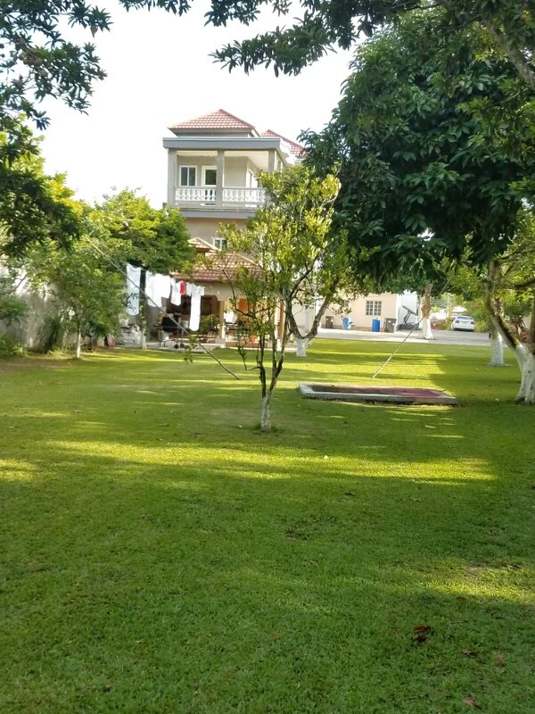 A spacious lawn features well-maintained grass and several trees providing shade. In the background, a multi-story home is visible, with a balcony and clothes hanging on a line nearby. A swing can be seen set in a tranquil area, inviting relaxation.