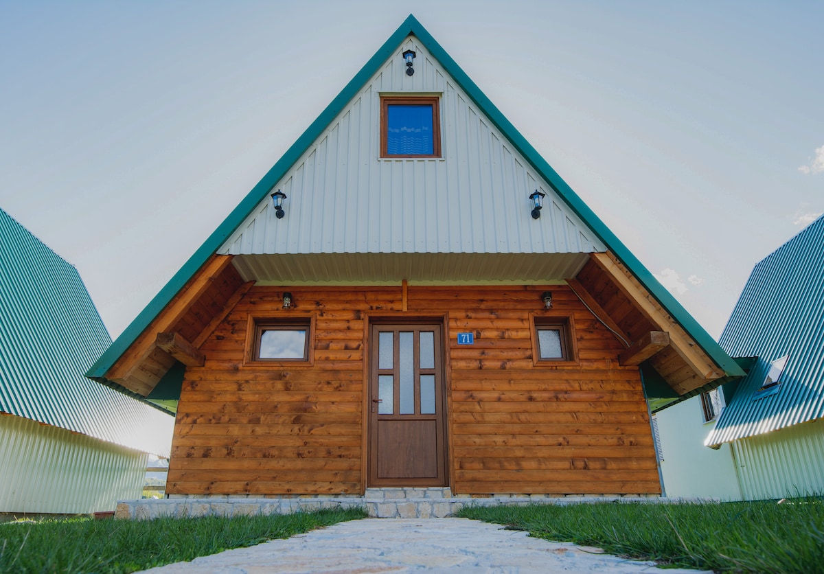 A triangular-roofed house is presented, featuring a wooden exterior with a welcoming front door and several windows. Stone pathways lead to the entrance, flanked by well-maintained grass. The design highlights a balance of natural materials with modern architecture.