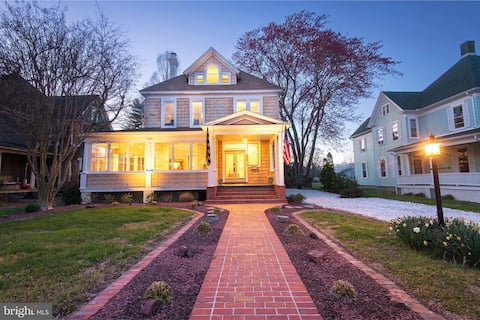 Top performing Airbnb: Turtle's Nest - Hist. Cambridge in Cambridge