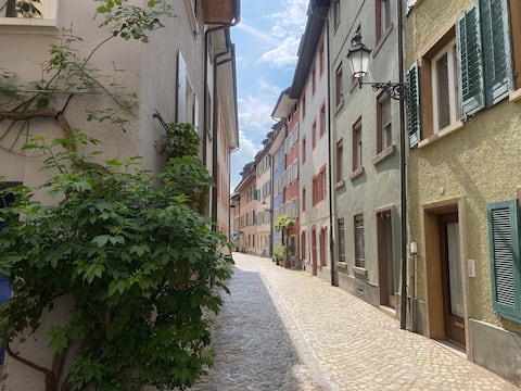 Three apartments in one house