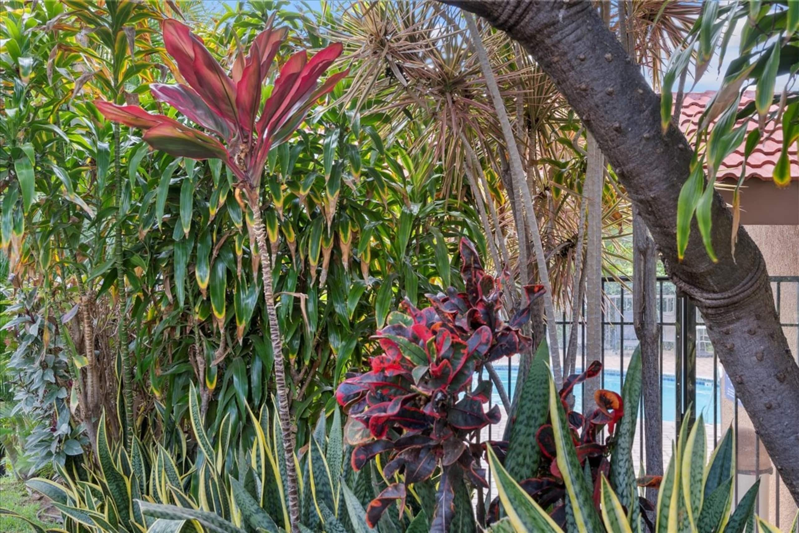 Steps to Charley Young Beach • Remodeled• Pool •AC - Image 28