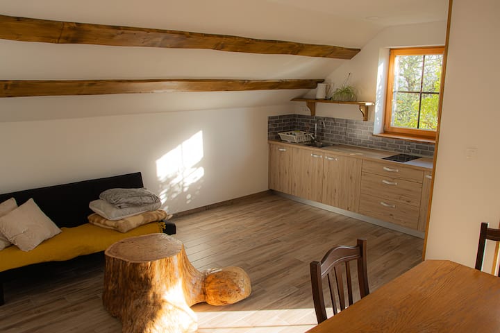Počitniška Hiša Kladnik - Apartma 1 - Slovenia