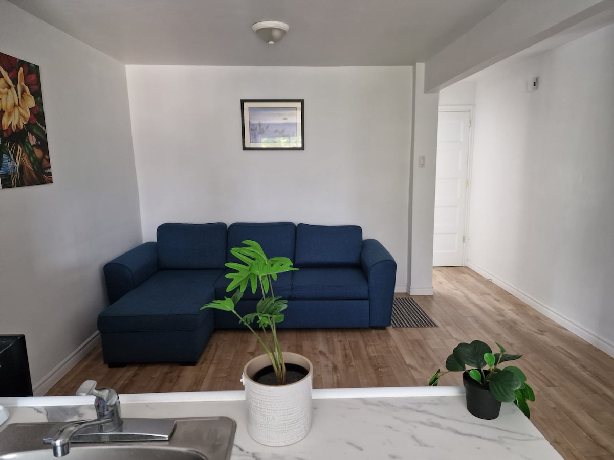 A modern living area features a blue sectional sofa positioned against a white wall. A framed artwork hangs above, adding a touch of color. Natural light is allowed through the open space, while a small potted plant sits on a countertop in the foreground.