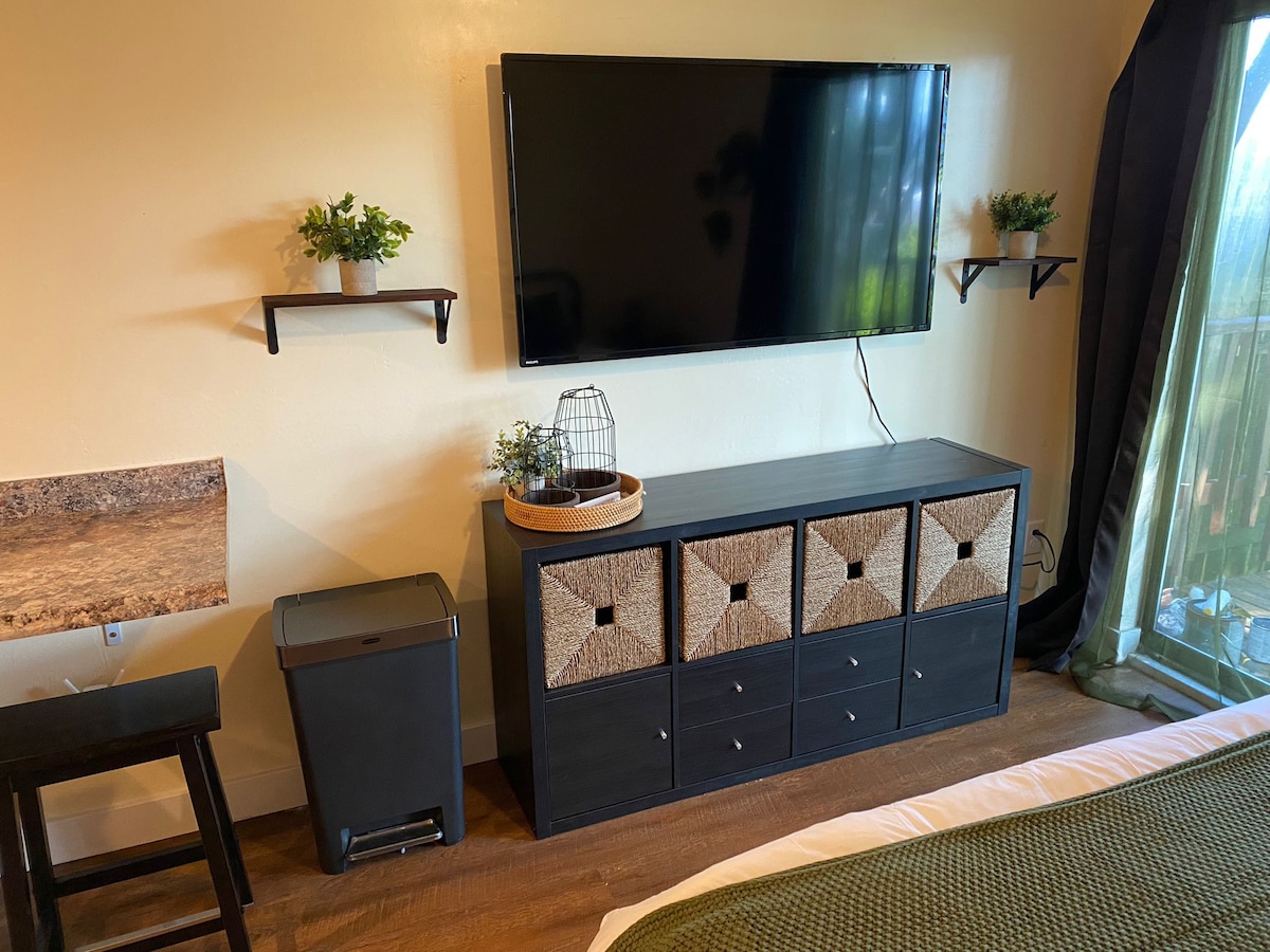 A modern entertainment area features a wall-mounted flat-screen television above a sleek dresser with woven drawer fronts. Two floating shelves hold small potted plants. A wastebasket is placed nearby, and natural light streams through a glass door leading to a private outdoor space.