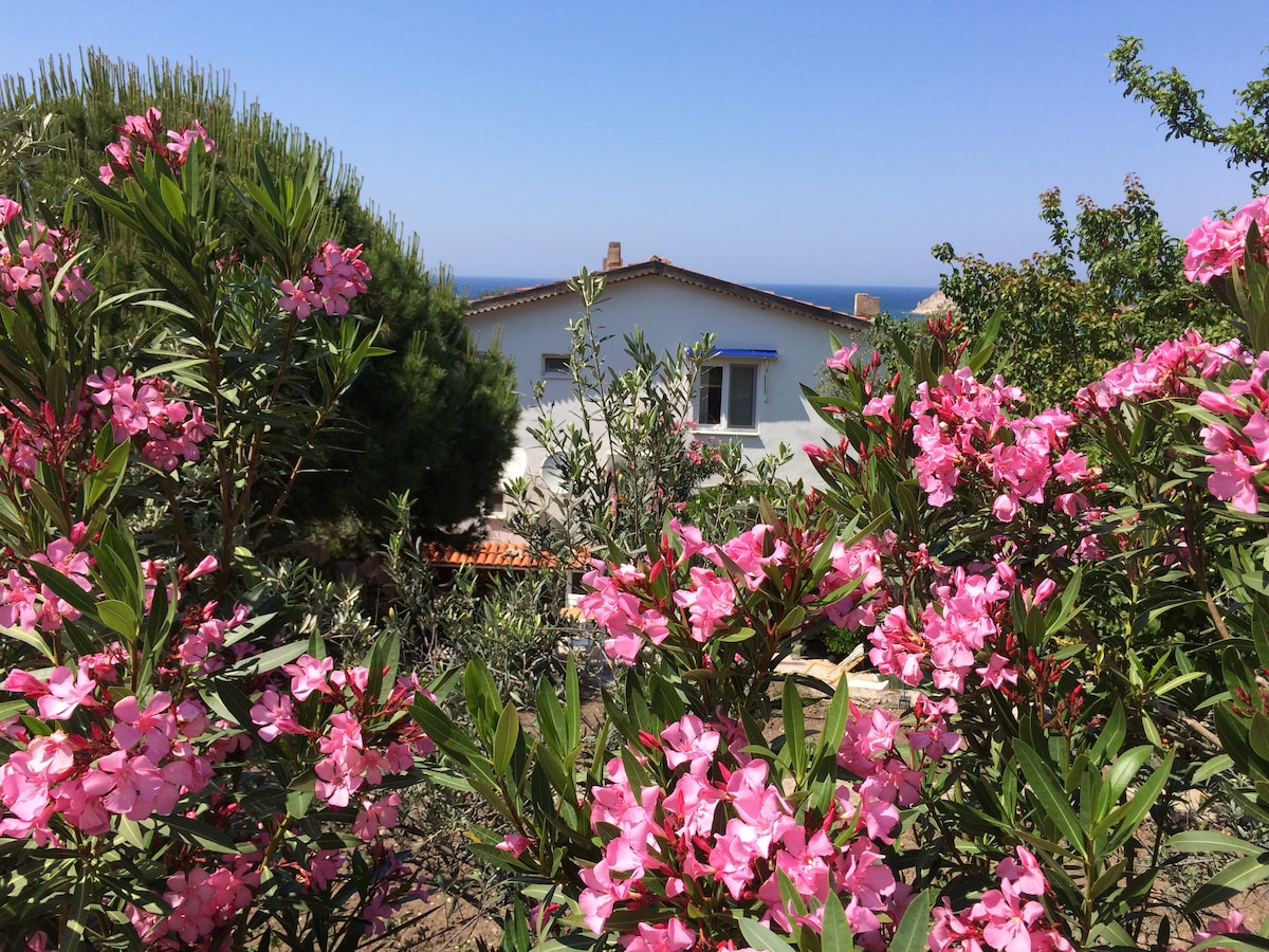A view of a white house is framed by vibrant pink flowers and lush greenery. The blue sea is visible in the background under a clear sky, creating a serene atmosphere. The garden is well-maintained, with a combination of foliage and blooming plants.