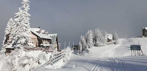 Apartmani Nina Košuta