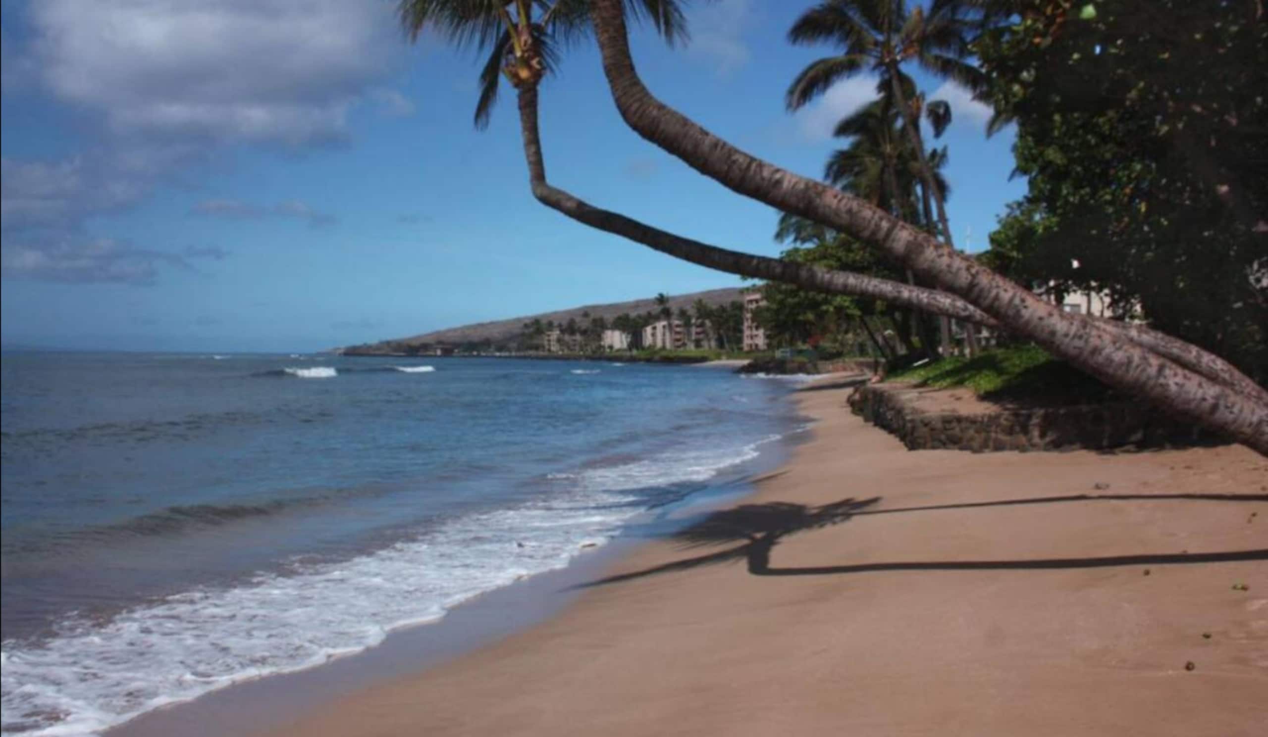 Condo in Wailuku · ★4.96 · 1 bedroom · 2 beds · 1 bath - Image 36