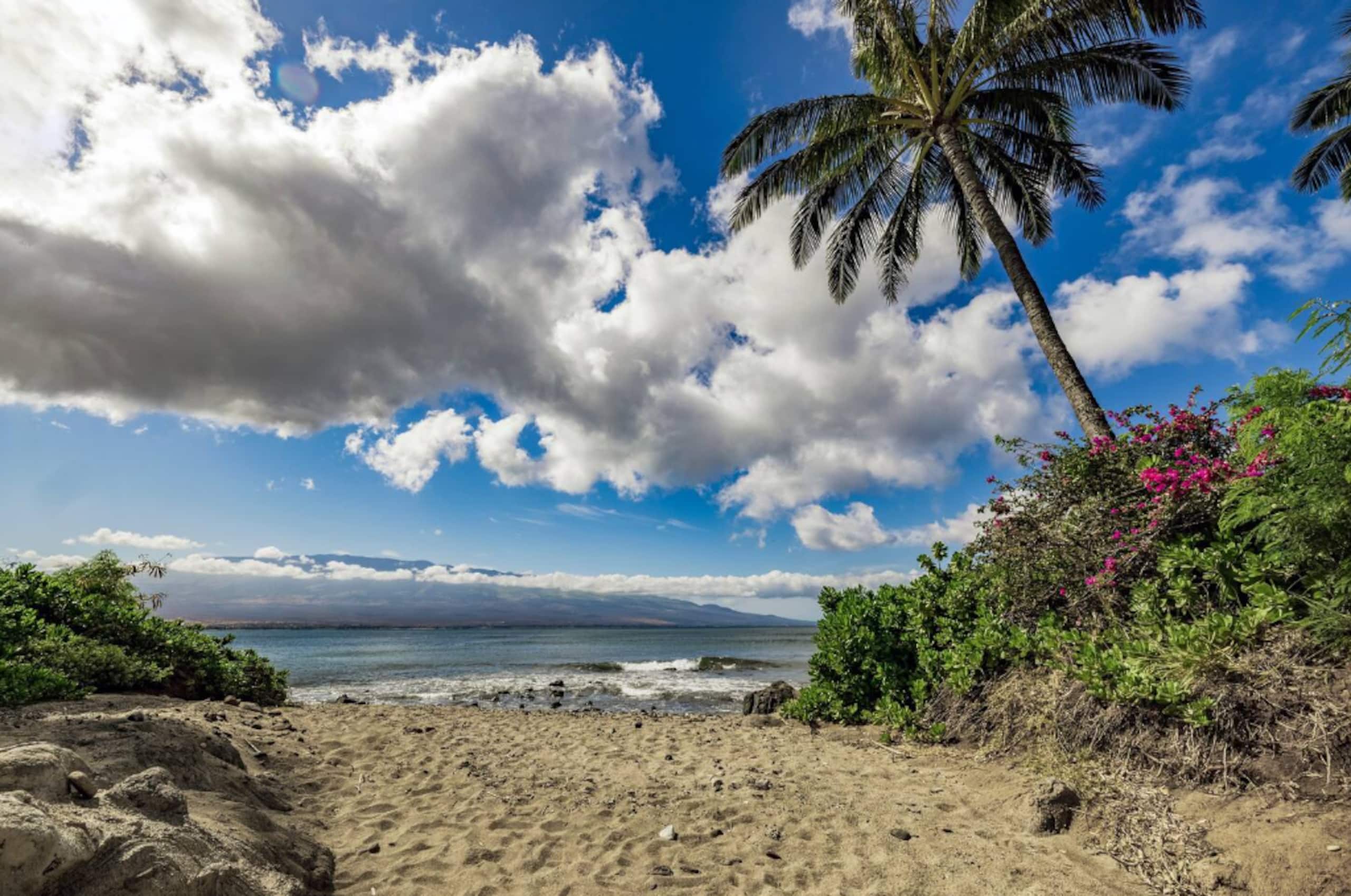 Condo in Wailuku · ★4.96 · 1 bedroom · 2 beds · 1 bath - Image 28