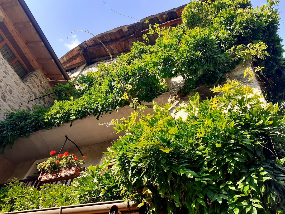 A charming building is enveloped in lush greenery, with vibrant plants cascading over balconies. Flower boxes add touches of color, enhancing the natural setting. Sunlight filters through the leaves, creating a serene outdoor atmosphere.