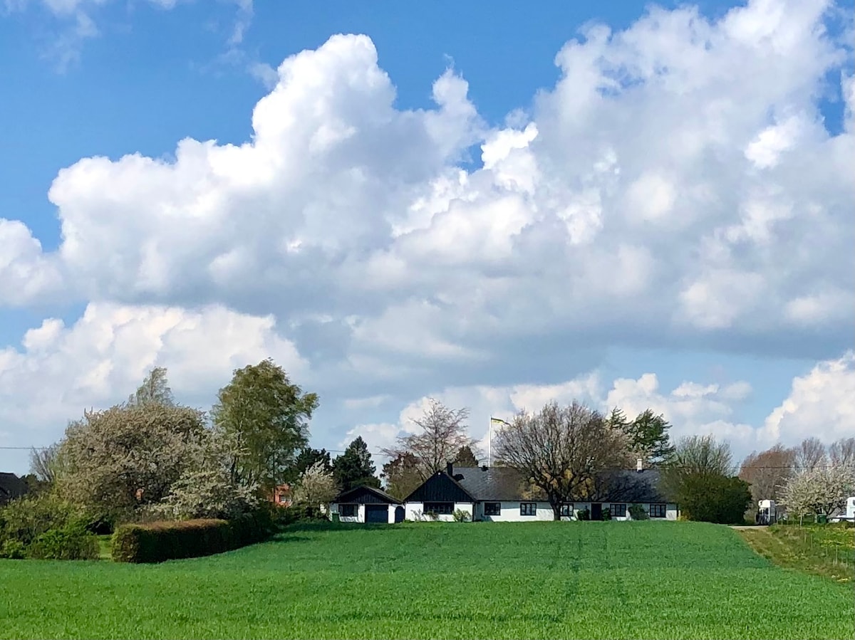 A peaceful countryside scene features a charming house surrounded by lush greenery. The home is complemented by trees and shrubs, set against a backdrop of blue skies filled with fluffy clouds. Open fields stretch in the foreground, enhancing the serene environment.