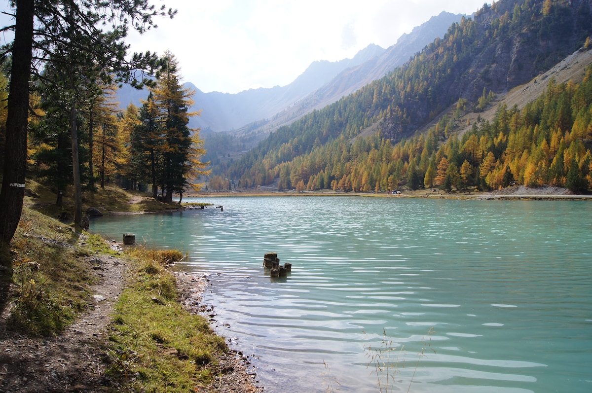 The image depicts a serene lake surrounded by gently sloping mountains and a mix of trees. The water is a tranquil turquoise, reflecting the landscape. Autumn colors can be seen in the foliage, while a path along the shore invites leisurely exploration.