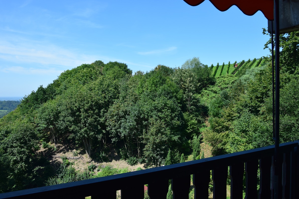 A scenic view is captured from the balcony, showcasing lush greenery and a hillside adorned with neatly arranged vineyards. The clear blue sky provides a bright backdrop to this tranquil natural setting, inviting relaxation in the open air.