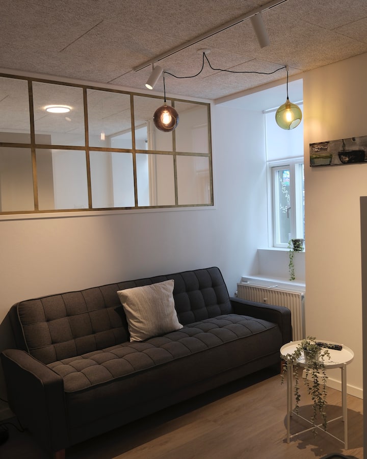 1: Modern Apartment In Cozy Neighborhood - Copenhague