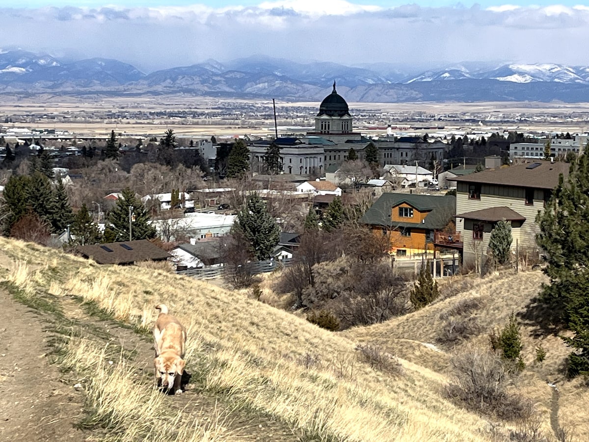 A gentle hillside is depicted, providing a view of the town below, with a historic Capitol building visible in the background. Snow-capped mountains stretch across the horizon, while a dog is seen walking through the grass, emphasizing the area's outdoor accessibility.
