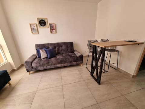 Fully furnished 301 apartment