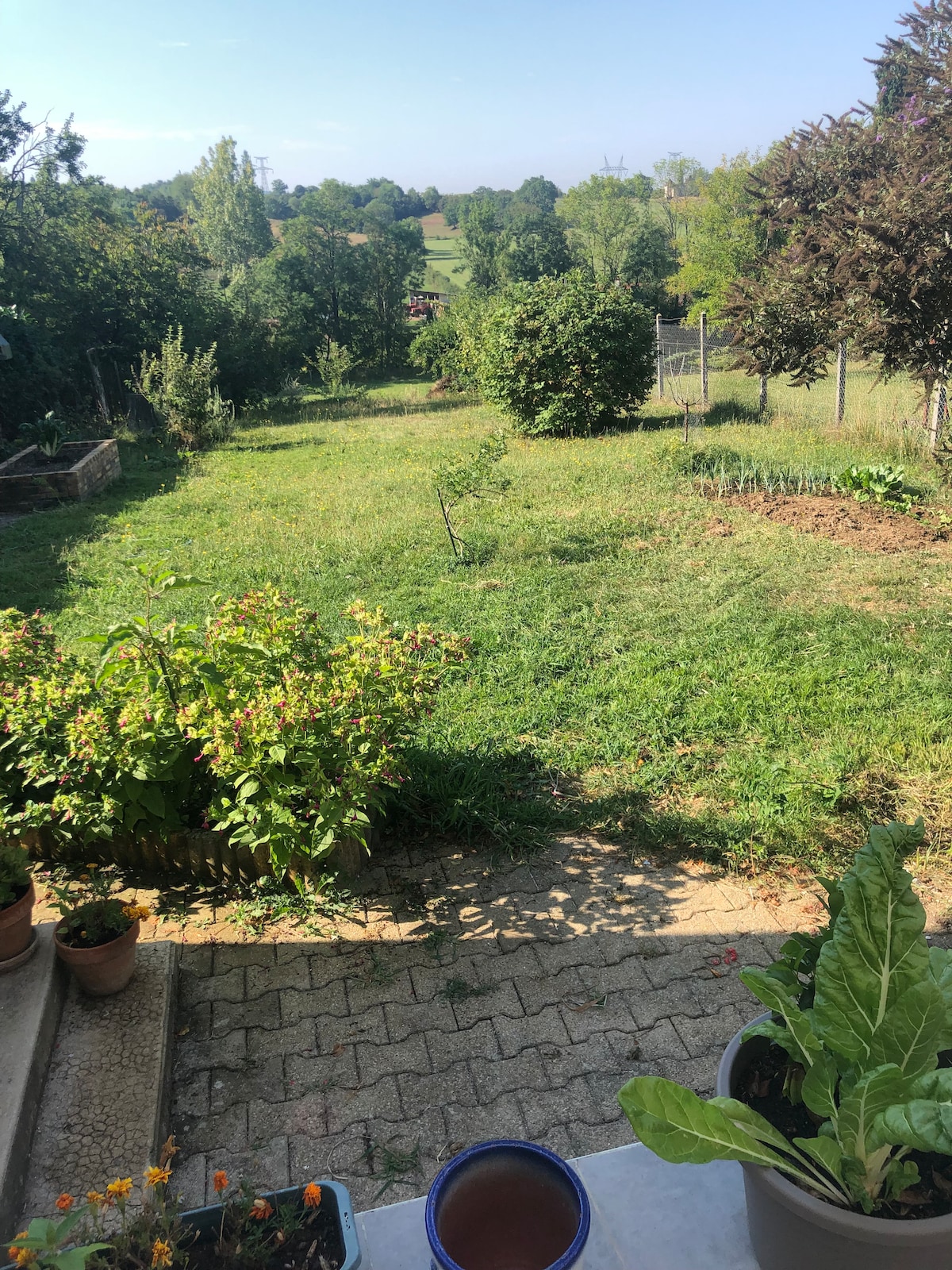 A lush green garden is visible, featuring a well-maintained lawn bordered by various plants and shrubs. The area offers a peaceful view of the surrounding greenery and trees in the background, enhancing the tranquil ambiance of the space.