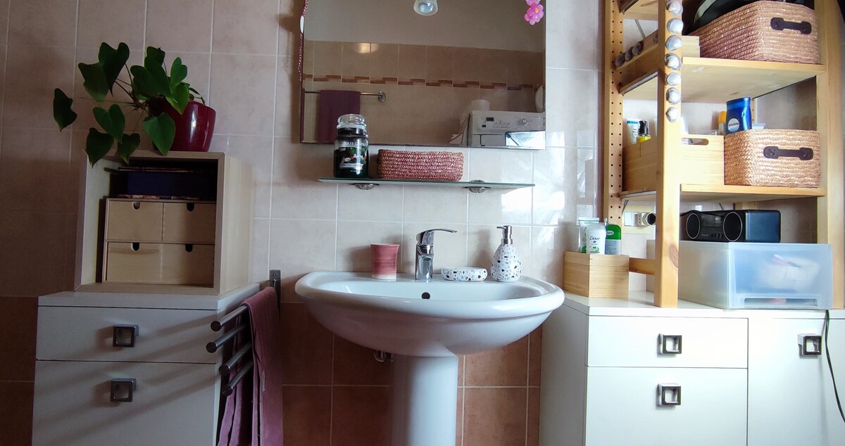 The spacious bathroom features a pedestal sink with a rectangular mirror above it. Shelving units display organized toiletries and a green plant adds a natural touch. A towel rack holds a soft towel, while a pink washcloth hangs nearby, enhancing the functional setup.