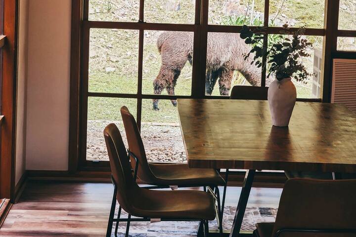 Family Friendly Farmstay- stunning views and spa gallery image 4