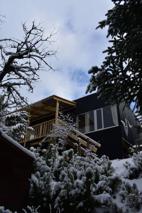 Warm Forest Hut