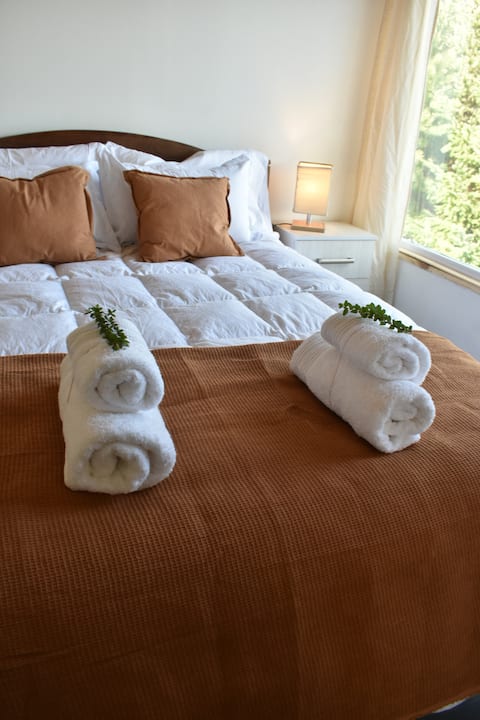 Warm cabin in the woods Villa Pehuenia