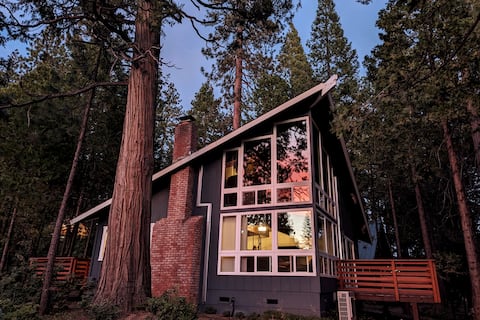 Cozy Bear Cabin in the Woods