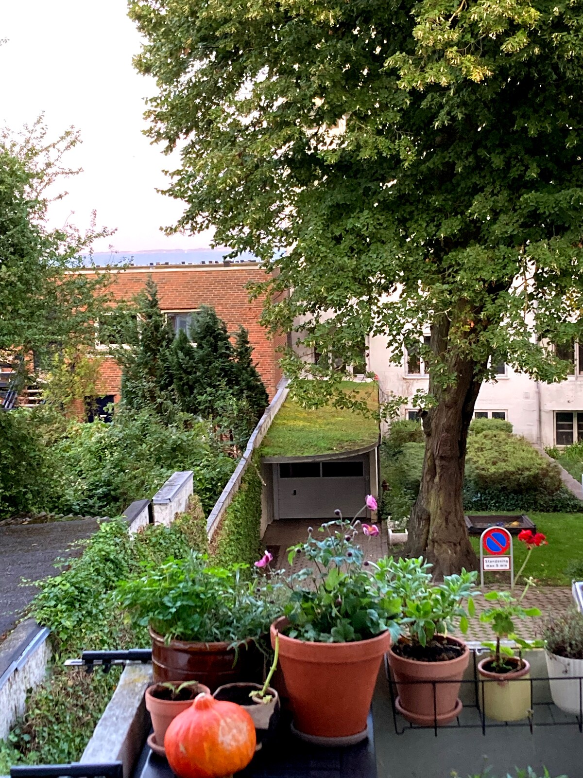 A view from a balcony shows a mix of green trees and plants, along with potted flowers on the railing. In the background, a brick building is visible, with a driveway leading to a garage. A no parking sign stands nearby, adding to the suburban feel.
