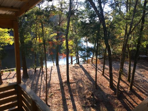 An outdoor view captures a serene landscape featuring a tranquil river visible through a cluster of tall trees. Dappled sunlight filters through the leaves, casting long shadows across the forest floor covered in fallen leaves.