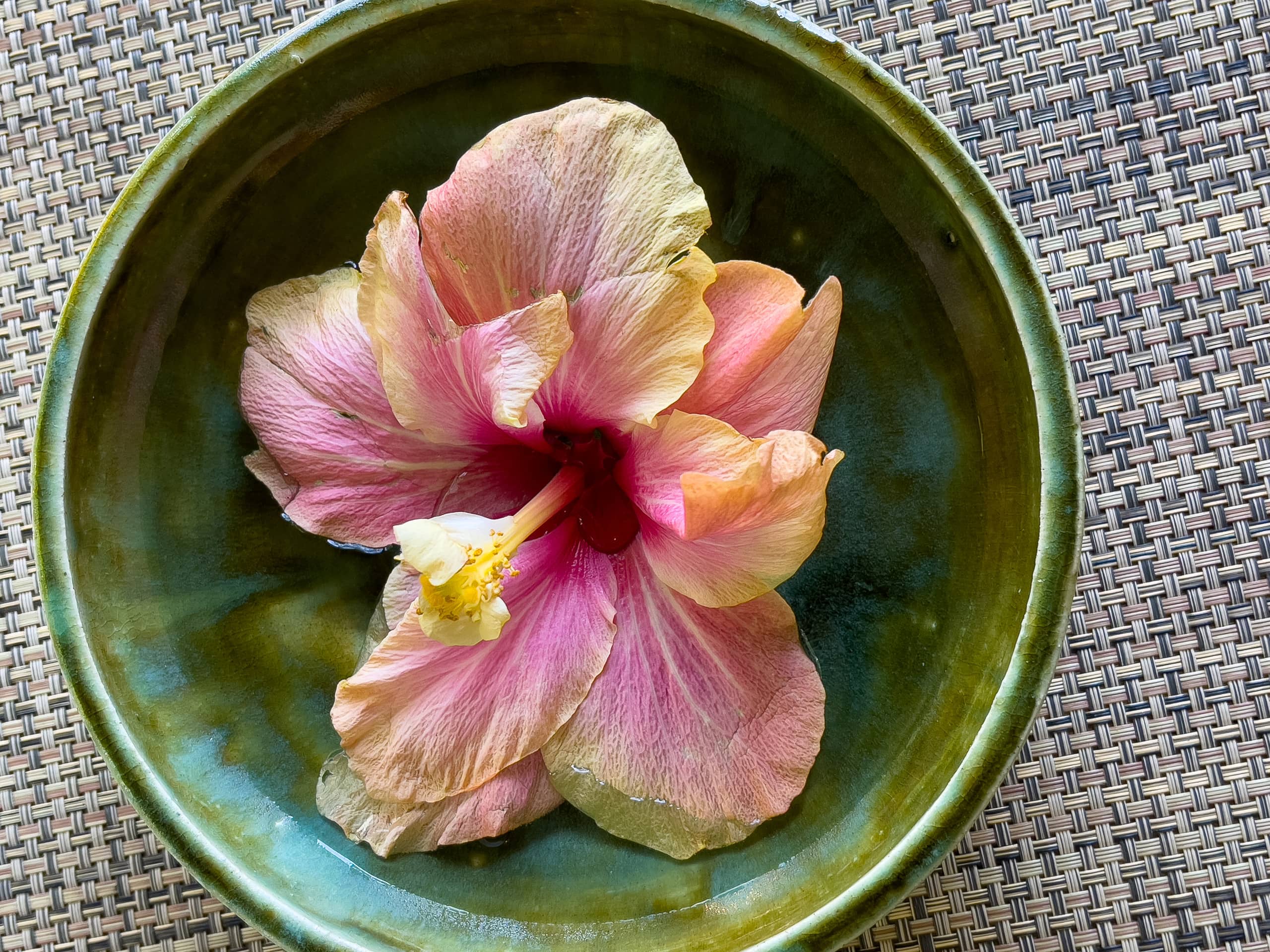 Artsy Hale Akala Cottage, Hōlualoa, Kona - Photo 21