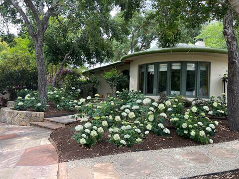 Ojai Valley Oasis