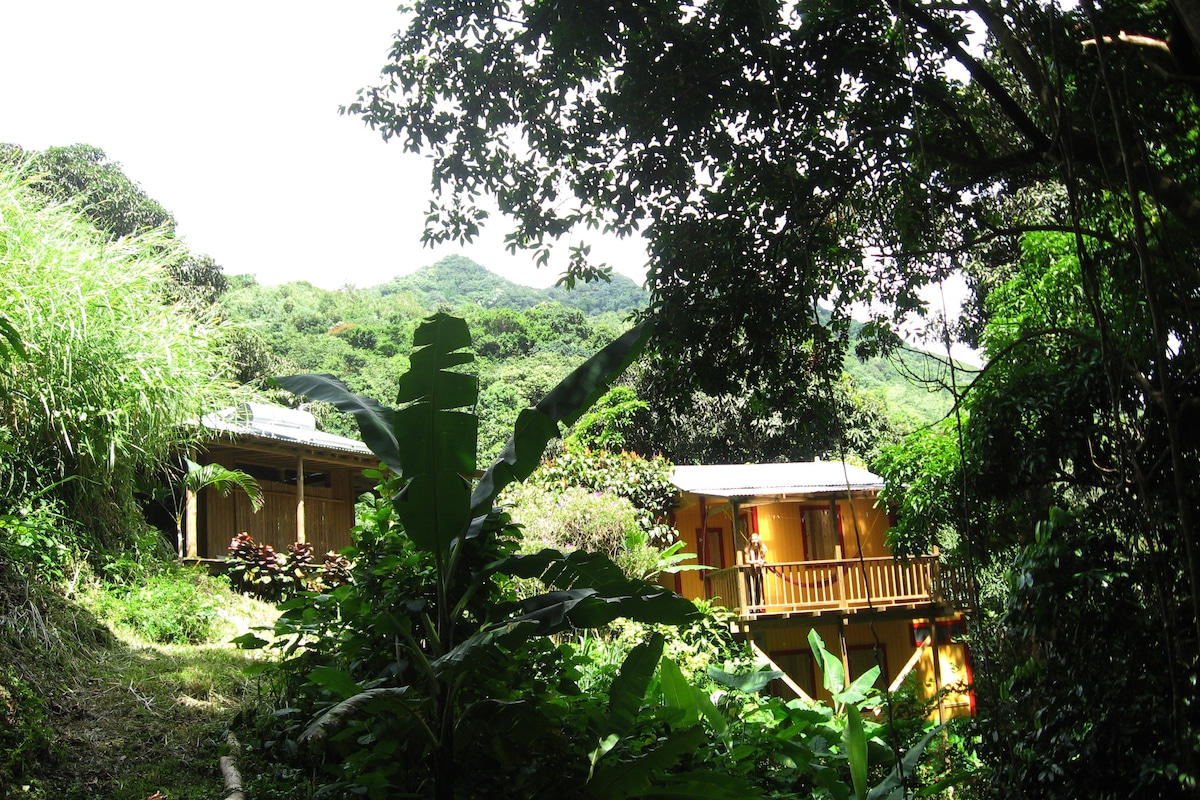 Cottages In Puerto Rico