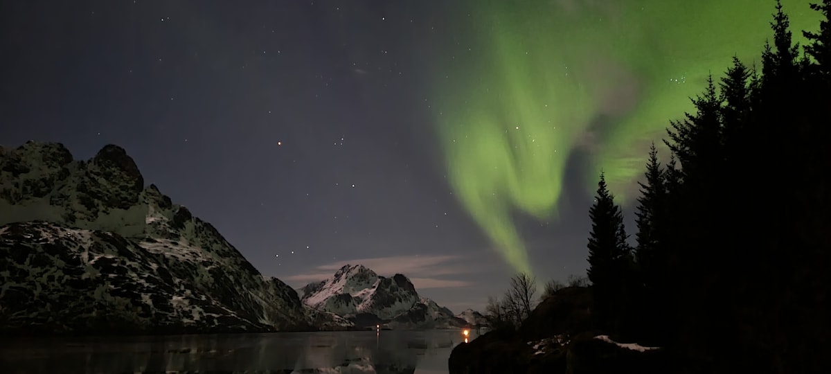 The image captures a serene night scene featuring vibrant green auroras dancing across the sky, illuminating the landscape. Snow-covered mountains and dark silhouettes of trees frame the picture, while a tranquil body of water reflects the northern lights and the surrounding scenery.