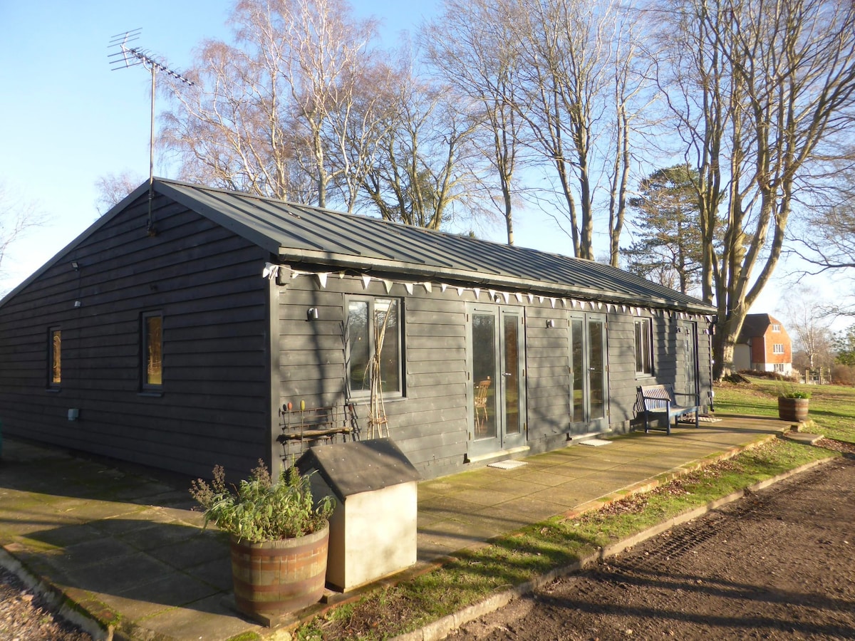 The exterior of the studio is presented with a dark wood finish, featuring multiple large windows and glass doors that provide natural light. A stone patio area is visible, bordered by greenery and planters, creating a connection to the surrounding landscape.