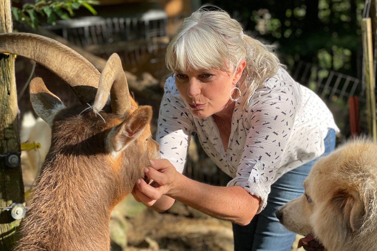 A close-up interaction is captured between a goat and an individual, with a friendly dog nearby. The goat's prominent horns and soft fur are visible, while the background features a natural setting with greenery and animal enclosures. The individual is engaged in a gentle manner with the goat.