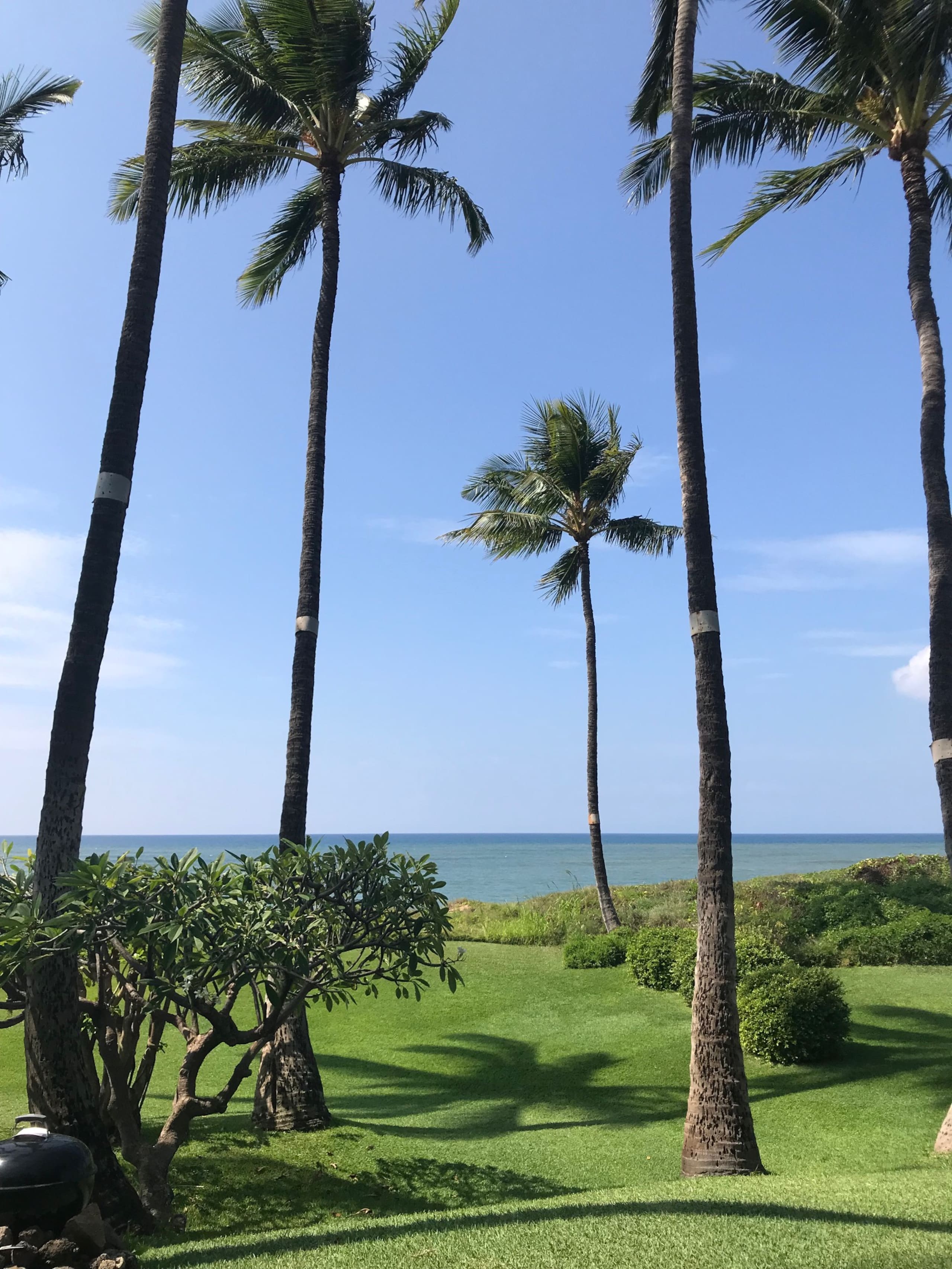 Home in Kihei · ★5.0 · 2 bedrooms · 4 beds · 3 baths - Image 27