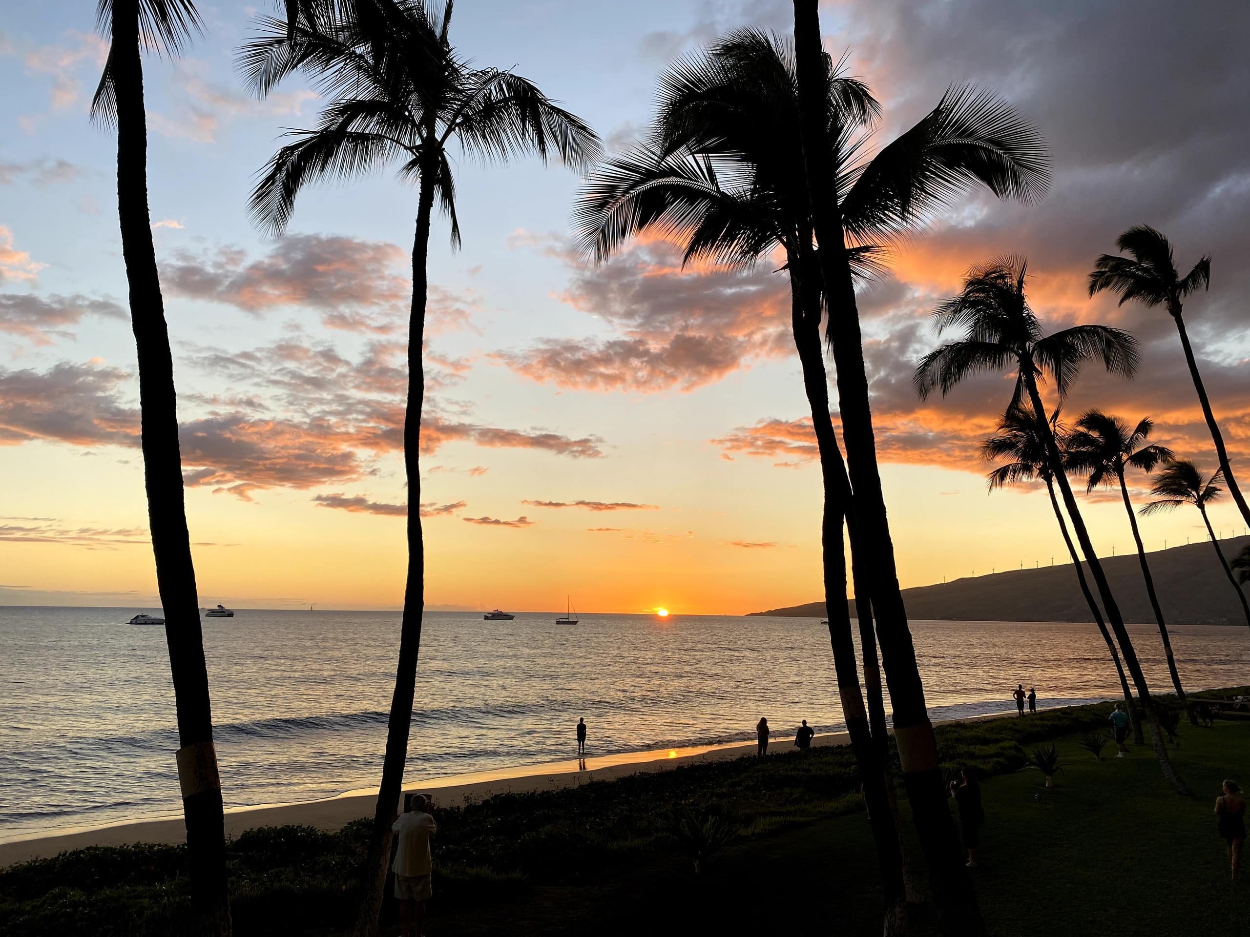 Condo in Kihei · ★4.89 · 1 bedroom · 1 bed · 1 bath - Image 21