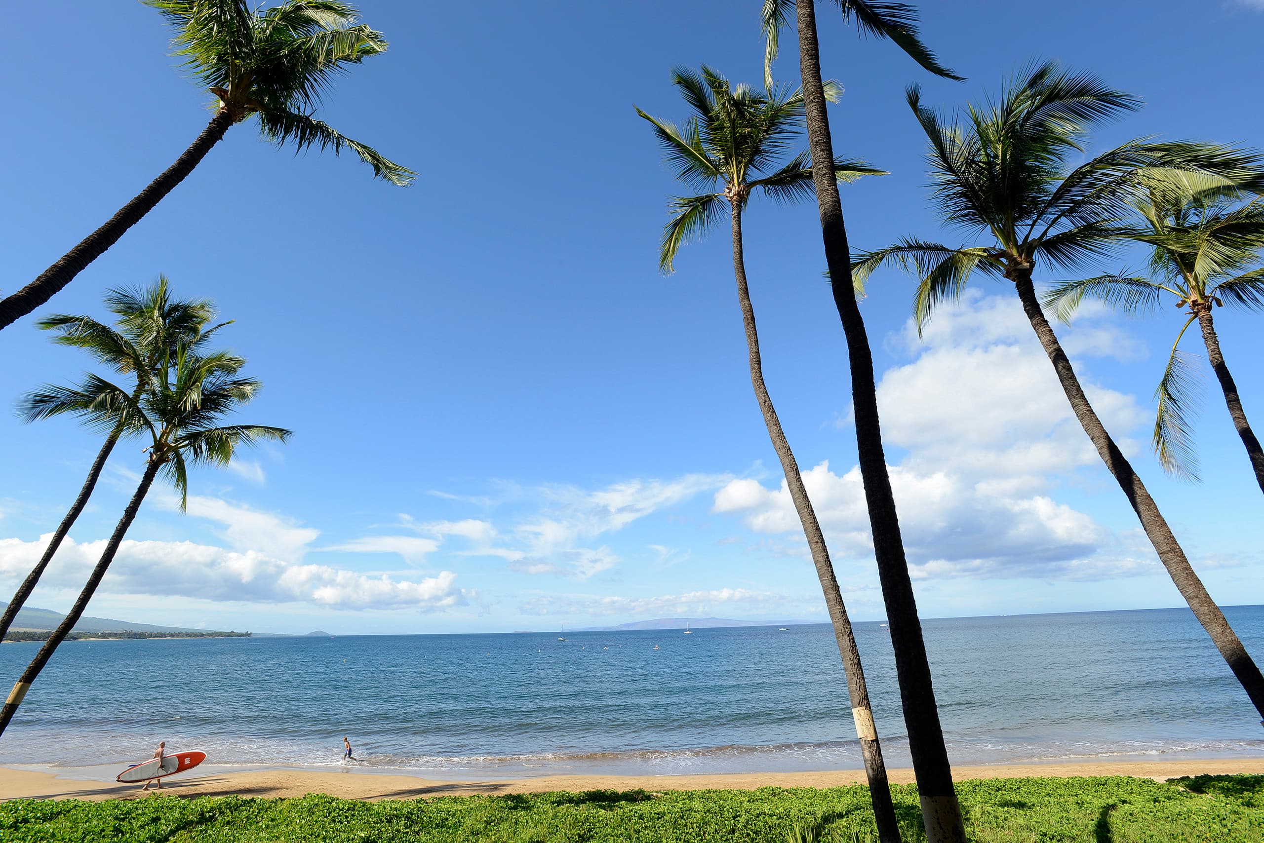 Condo in Kihei · ★4.89 · 1 bedroom · 1 bed · 1 bath - Image 29