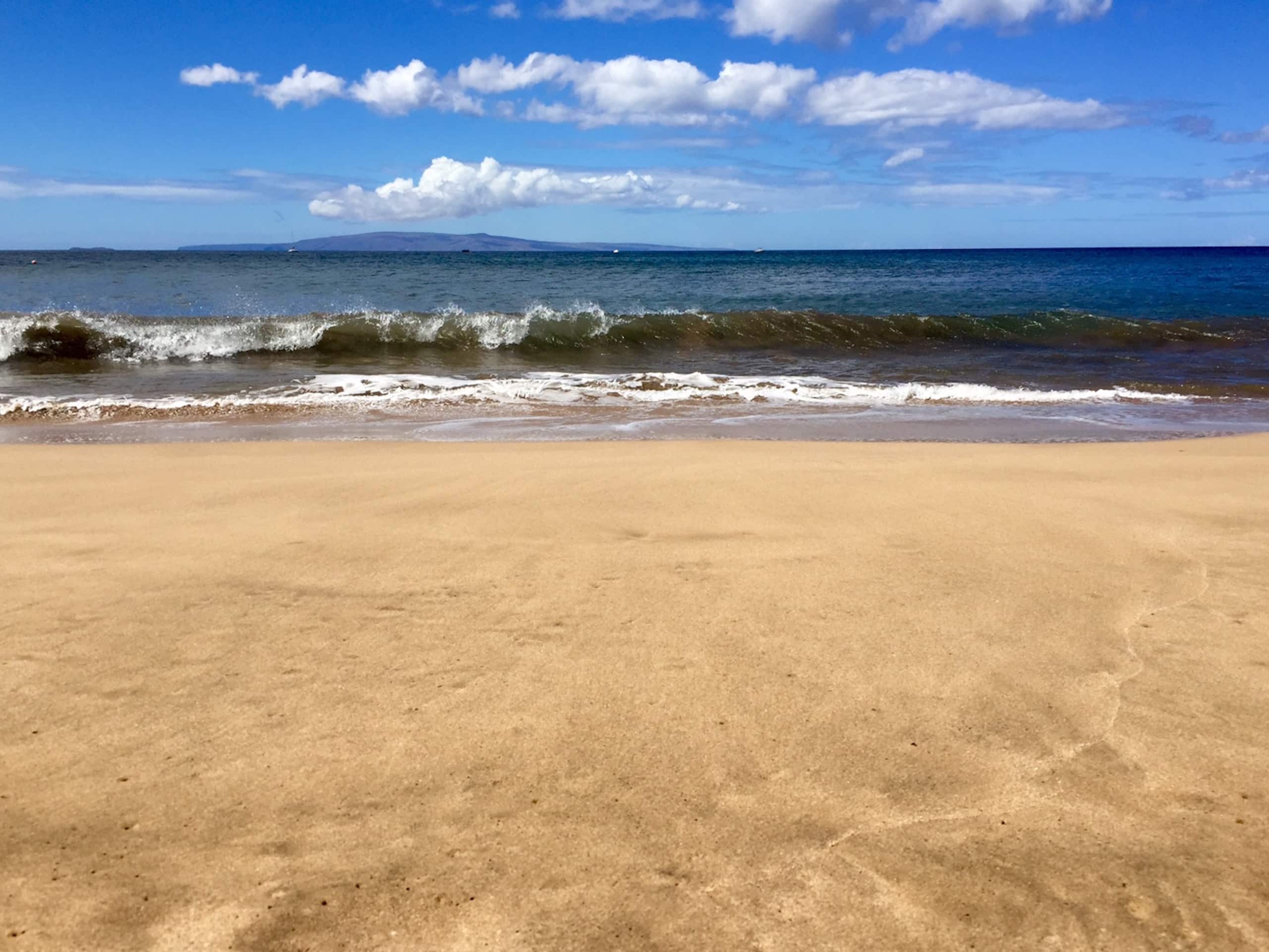 Condo in Kihei · ★4.89 · 1 bedroom · 1 bed · 1 bath - Image 28