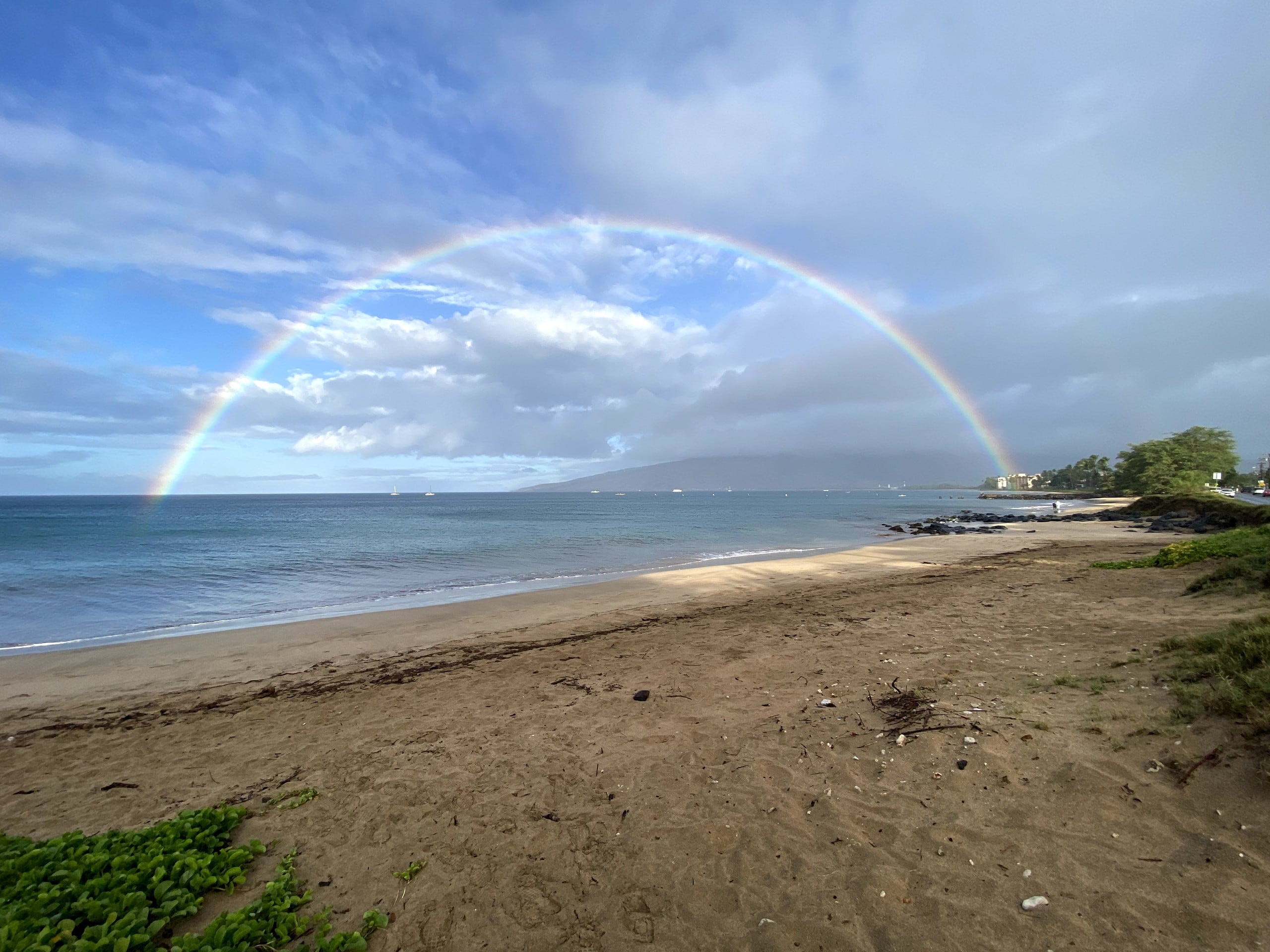 Condo in Kihei · ★4.89 · 1 bedroom · 1 bed · 1 bath - Image 27