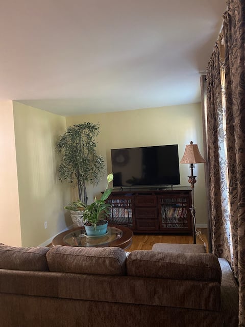 Peaceful comfortable house