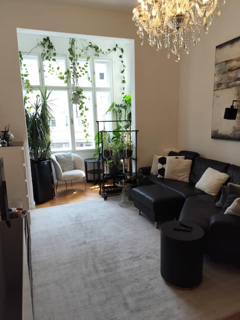 Successful Airbnb property: Location close to the center, newly renovated in Alsergrund