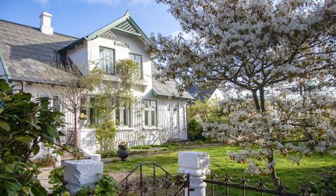 50 m from the beach in Vedbaek