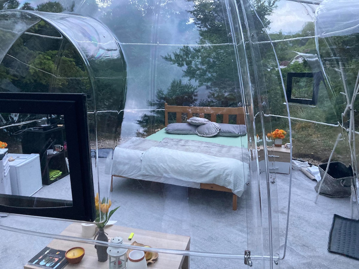 An elegant transparent structure presents a cozy sleeping area featuring a spacious bed with a light duvet and several pillows. A small table is positioned nearby, with a vase of flowers. Windows allow for views of the surrounding greenery, creating a serene environment.