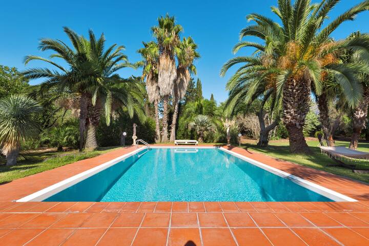 Villa Due Sorelle, con piscina tropicale e uliveto gallery image 3