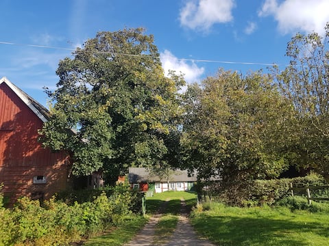 Small farm in nature reserve with sheep and hens