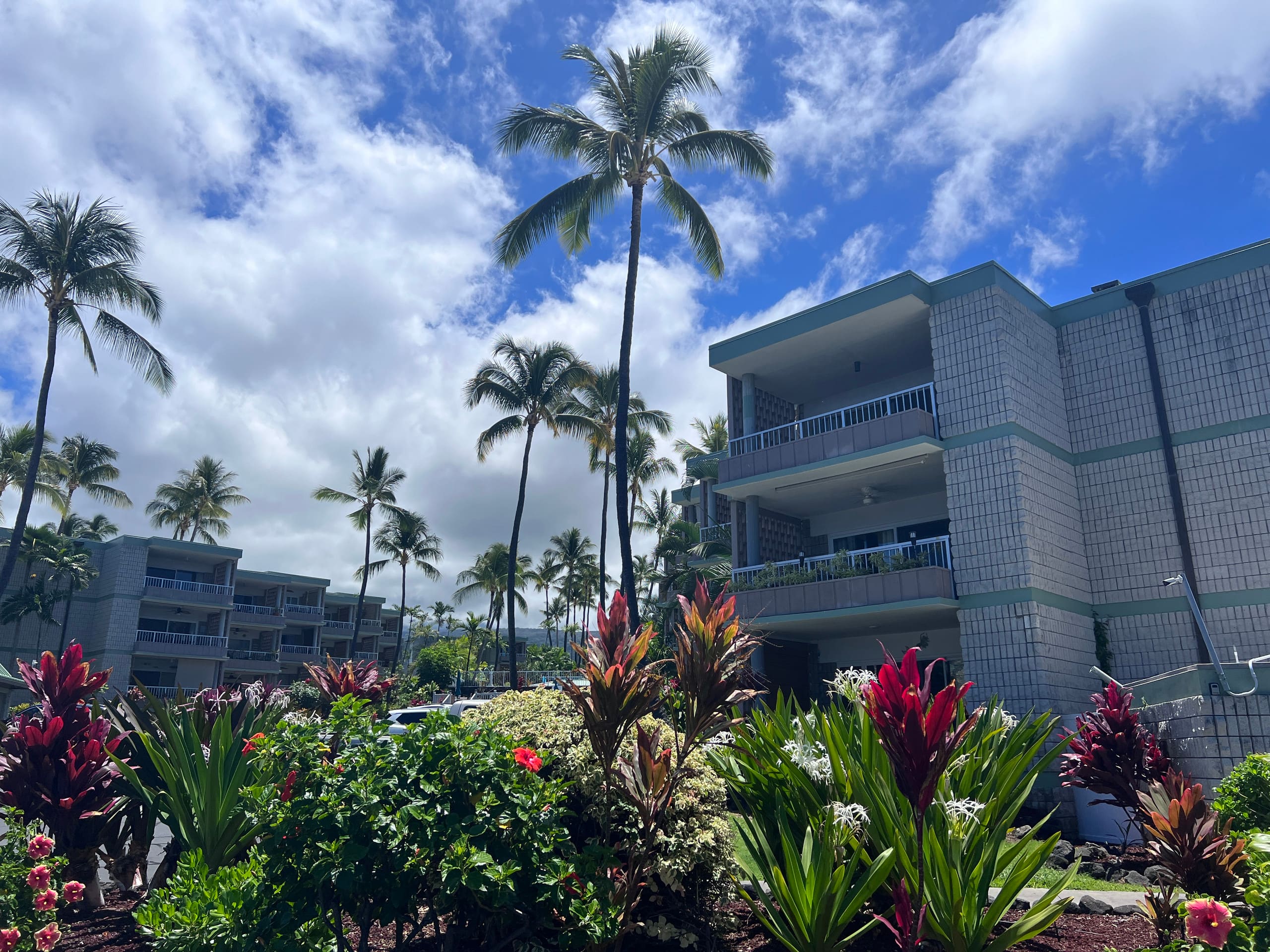 Condo in Kailua-Kona · ★4.97 · 1 bedroom · 1 bed · 1 private bath - Image 40