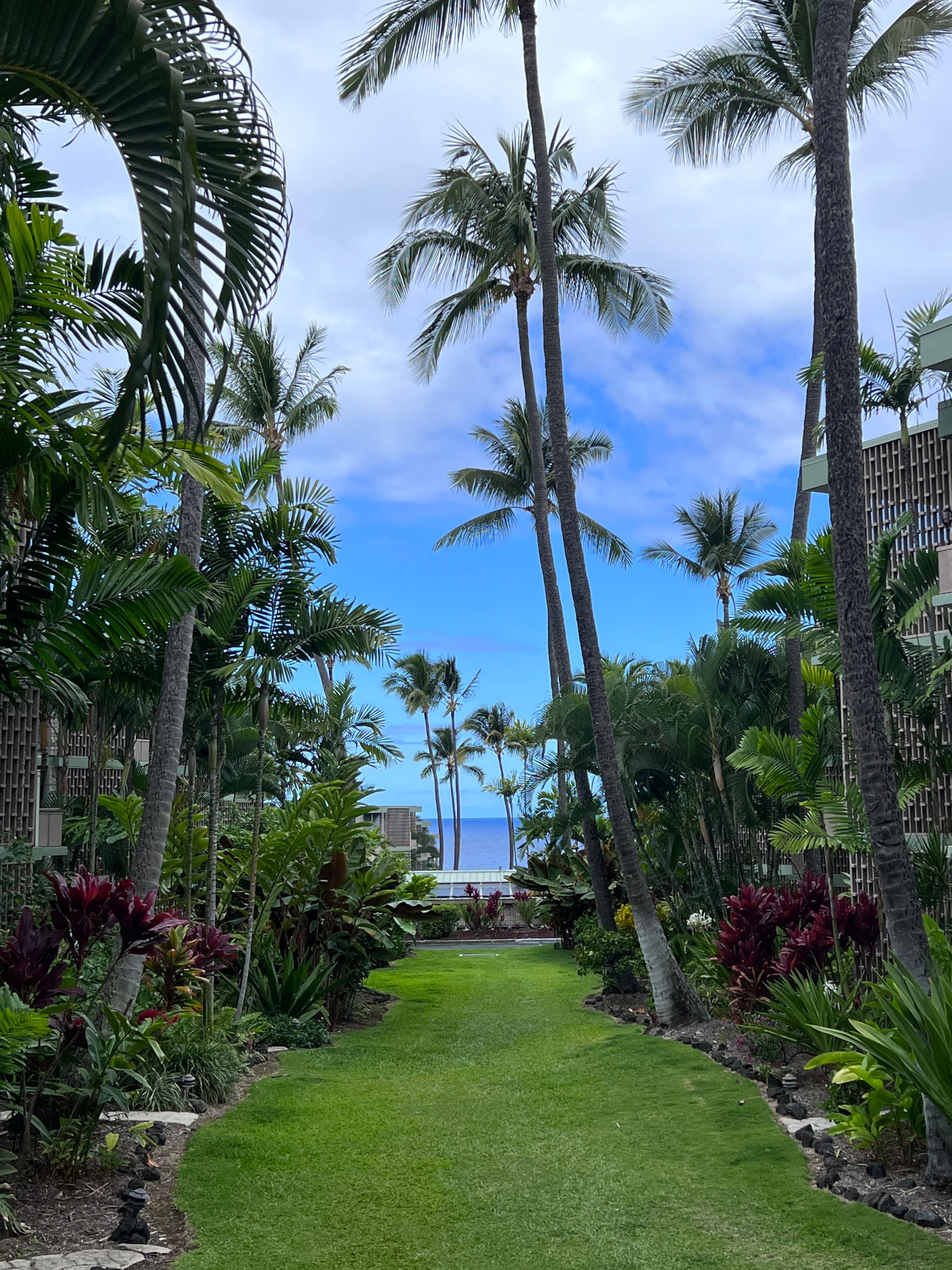 Condo in Kailua-Kona · ★4.97 · 1 bedroom · 1 bed · 1 private bath - Image 37